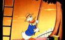 Donald Duck & Chip&Dale - Out on a Limb !